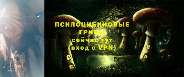 твердый Алексеевка