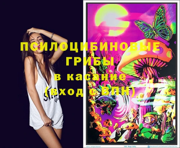 PSILOCYBIN Армянск