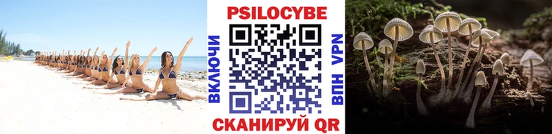 Псилоцибиновые грибы Magic Shrooms Покров